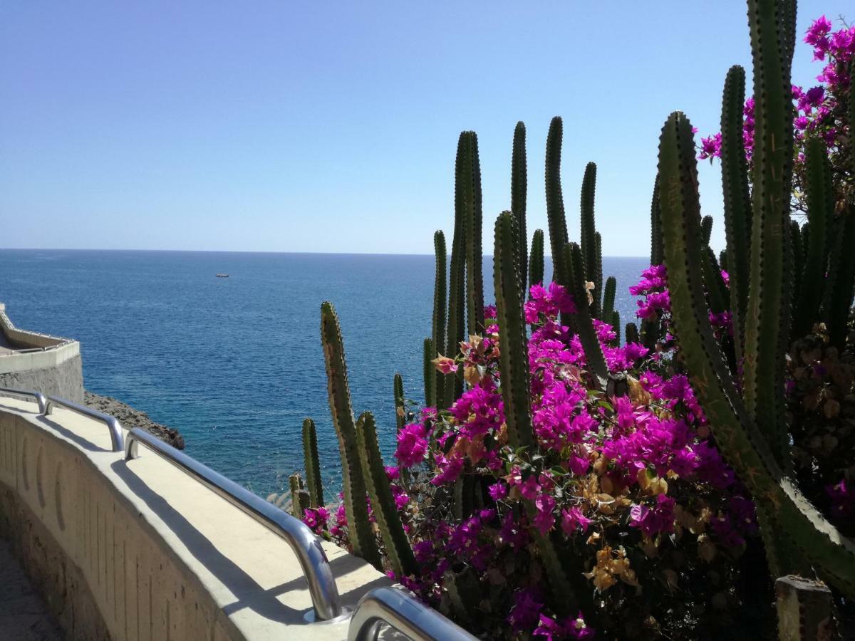 Luxury 2 Bedroom Apt 50 M From Beach Mogán Exterior photo